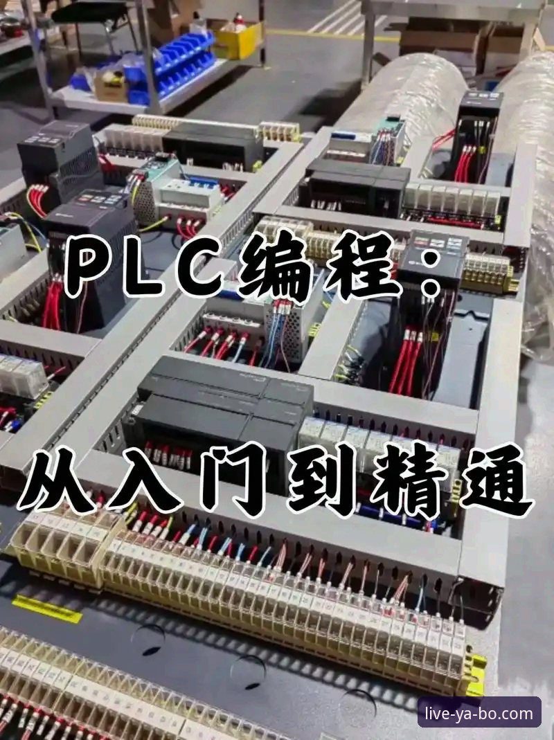 从入门到精通：资深用户分享亚博手机版官方下载全流程体验心得